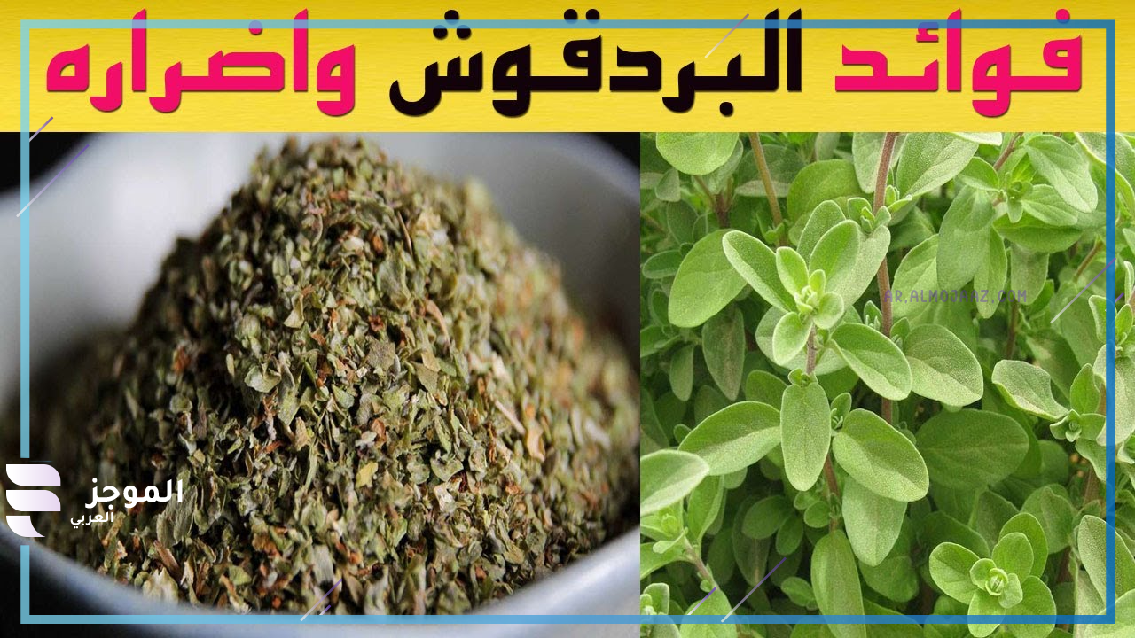 كيف استخدم البردقوش للتكيسات