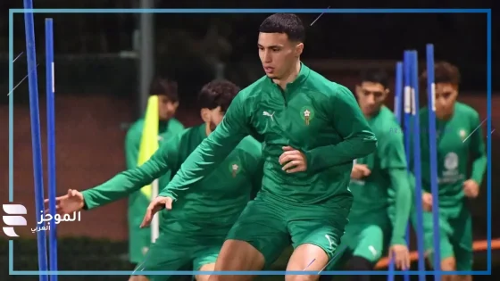 مباراة المغرب والنيجر