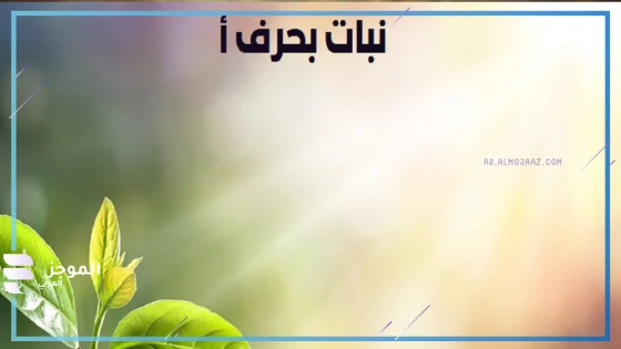 نبات بحرف أ، اسم نبات يبدأ بحرف أ