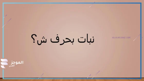 نبات بحرف الشين، اسم نبات يبدأ بحرف الشين