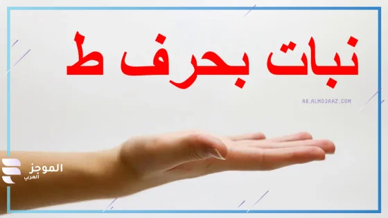 نبات بحرف الطاء، اسم نبات يبدأ بحرف طاء