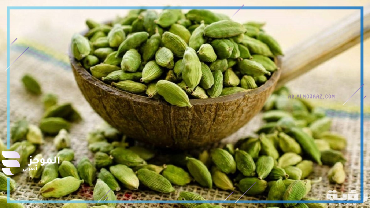 نبات بحرف الهاء من ثلاثة حروف