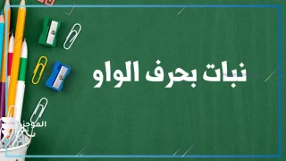 نبات بحرف الواو، اسم نبات يبدأ بحرف و 