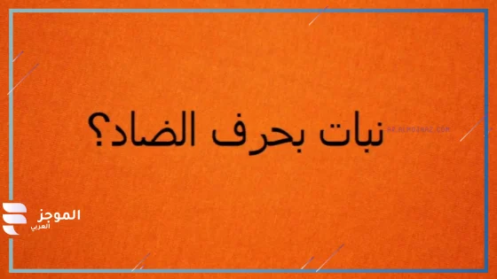 نبات بحرف ض، أسماء نبات يبدأ بحرف ض