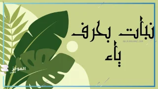 نبات بحرف ي، اسماء نبات تبدأ بحرف ياء