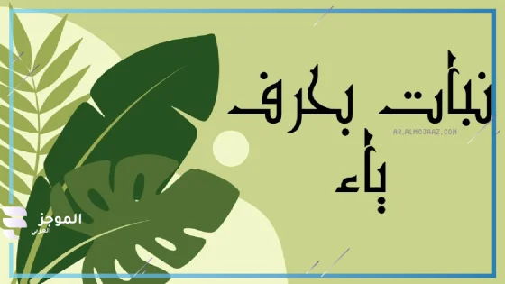 نبات بحرف ي، اسماء نبات تبدأ بحرف ياء