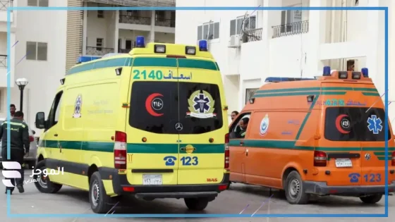 حادث الإسماعيلية المأسوي.. وفاة عروسين قبل الفرح والسبب!