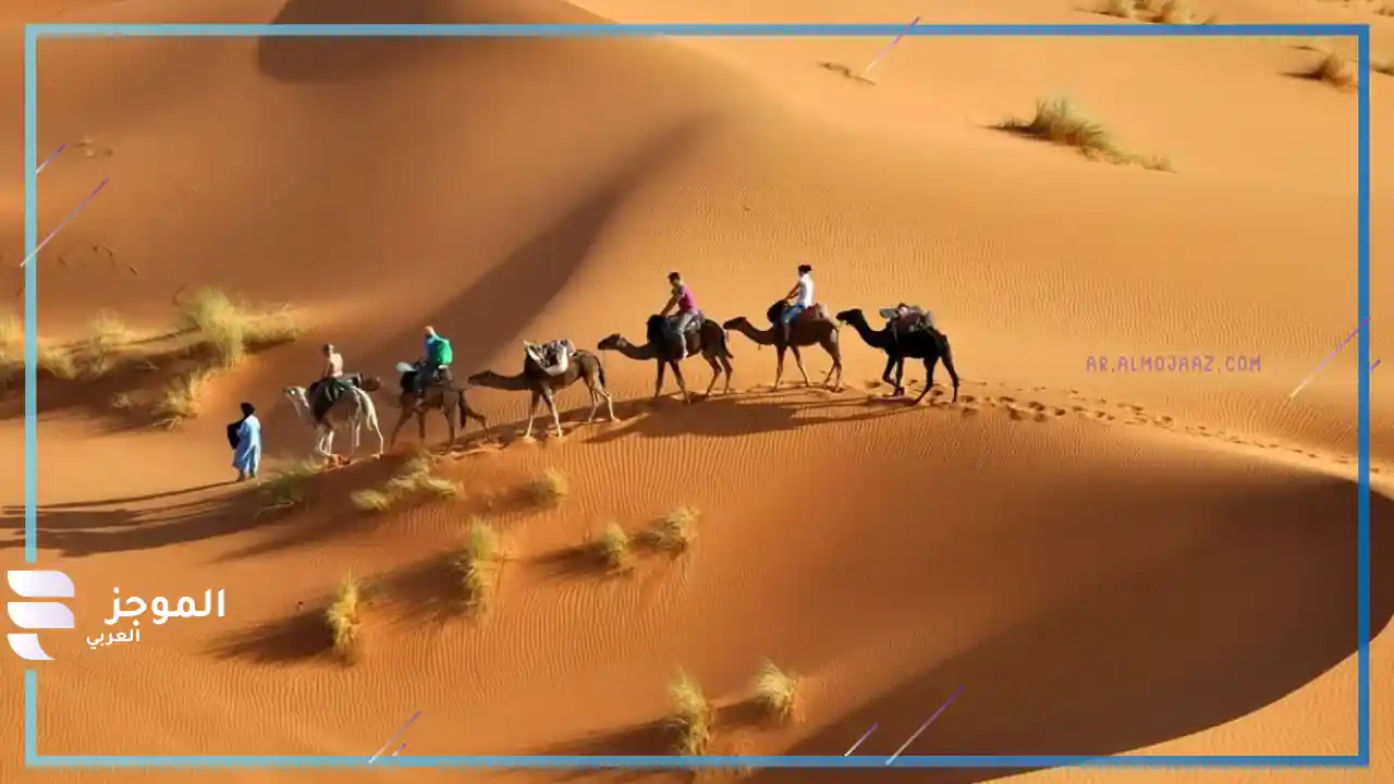 أصل قبيلة الرشيدي