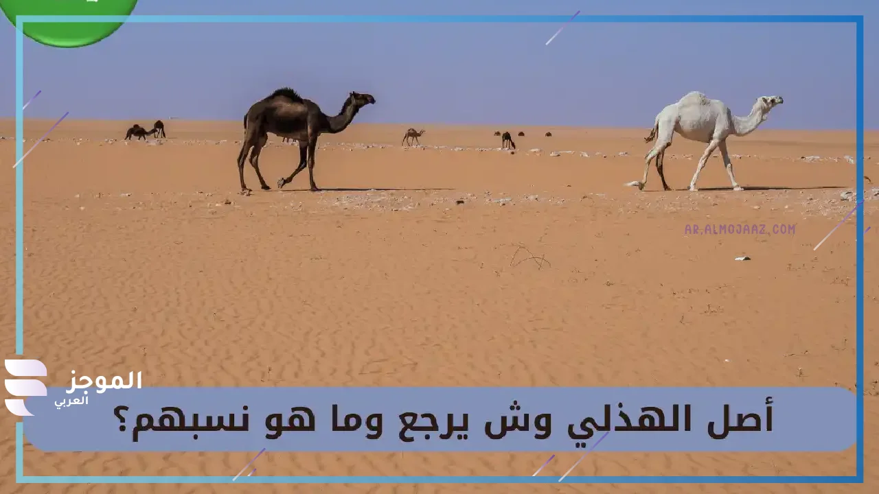 هل الهذلي من العتيبة