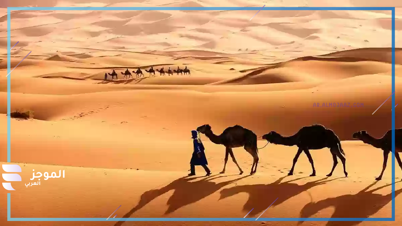 ديرة الخوالد وين 