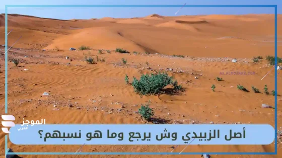 الزبيدي وش يرجع، نسب قبيلة الزبيدي