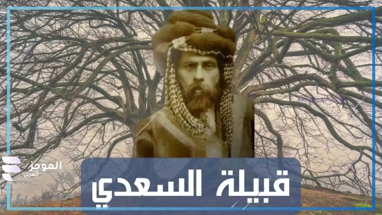 أصل السعدي من وين