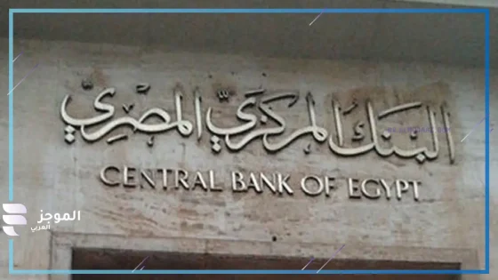 المركزي المصري يطرح أذون خزانة بـ40 مليار جنيه وسط ترقب لقرارات خفض الفائدة