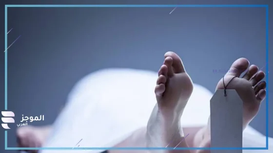 تفاصيل جديدة في قضية مقتل سائق أوبر بحلوان….. النيابة تحبس المتهمين 15 يوم