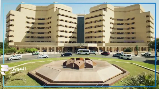 جامعة جدة تفتح باب القبول للدراسات العليا بأكثر من 40 برنامجًا مواكبة لرؤية المملكة 2030 