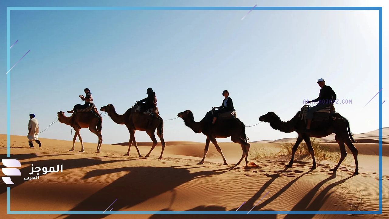 فروع قبيلة البياري 