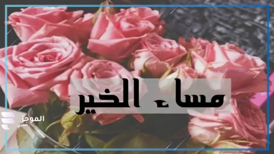 رد على مساء الخير، الرد على مساء الخير للحبيب