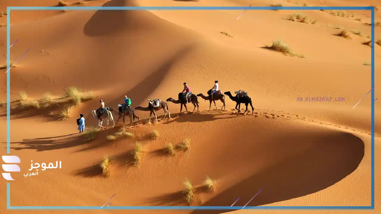 نسب قبيلة العلوي