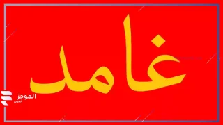 رمز قبيلة غامد، أنساب قبيلة غامد وتاريخها
