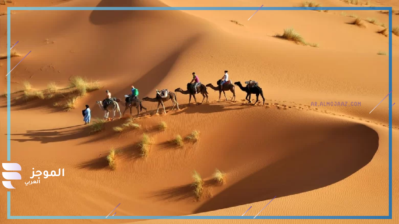 فخوذ الرفاعي وشجرة العائلة