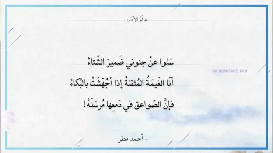  شعر عبارات عن المطر، أقوى العبارات والكلمات عن المطر