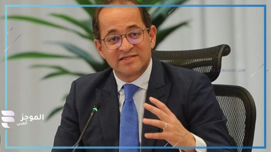 وزير المالية