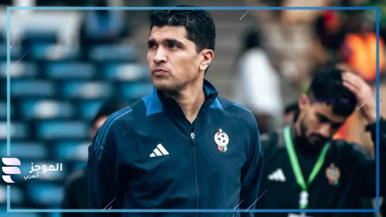 دوري المحترفين