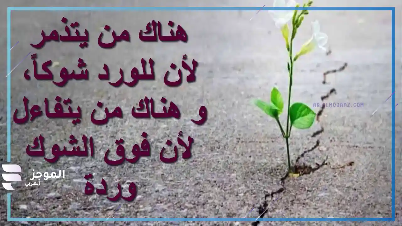 عبارات التفاؤل والثقة بالنفس