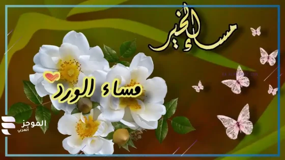 عبارات مسائيه، كلمات عن هدوء المساء تويتر
