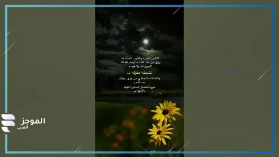 كلام عن الناس الطيبه، كلام جميل عن القلوب الطيبة