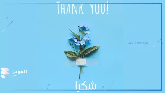 أقوى كلمات شكر وثناء لشخص قدم العطاء، عبارات شكر للناس الذوق