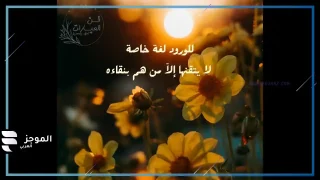 كلمات عن الورد، أجمل ما قيل في وصف الورد