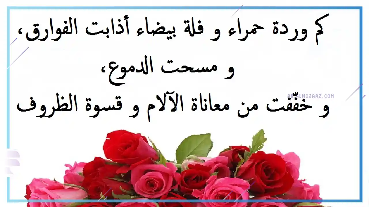 عبارات عن الورد تويتر