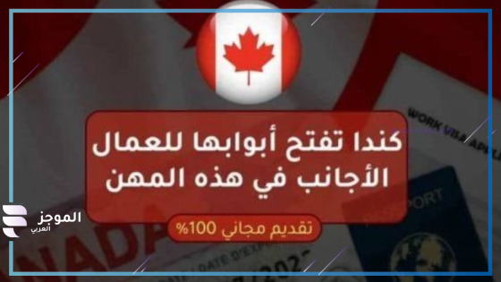 المهن المتاحة