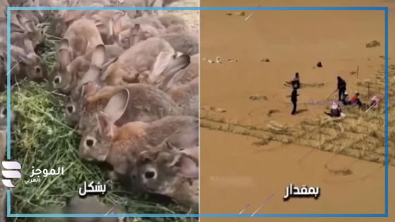 الصين