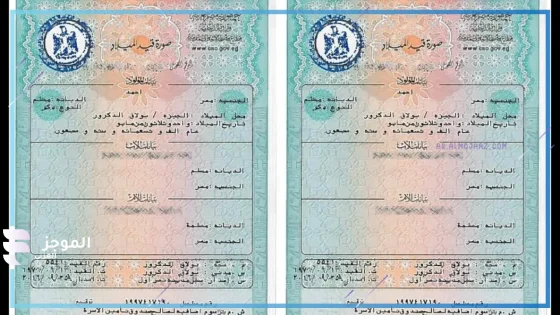 شهادة ميلاد رقمية