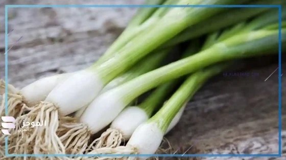 تفسير رؤية البصل الاخضر في المنام وأكله لابن سيرين
