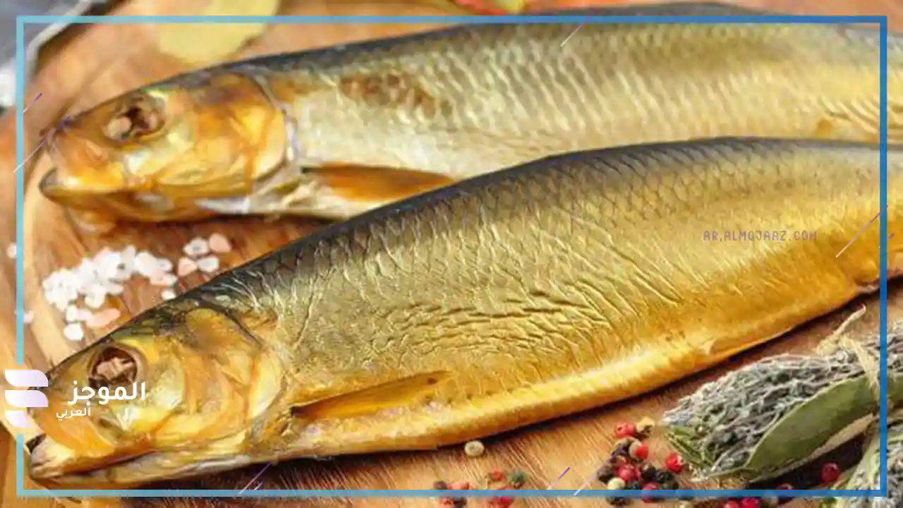 تفسير رؤية الرنجة في المنام للعزباء
