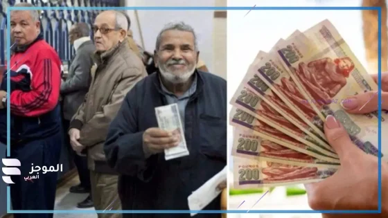 بعد قرار التأمينات.. تعرف على جدول زيادة المعاشات الجديدة 2025